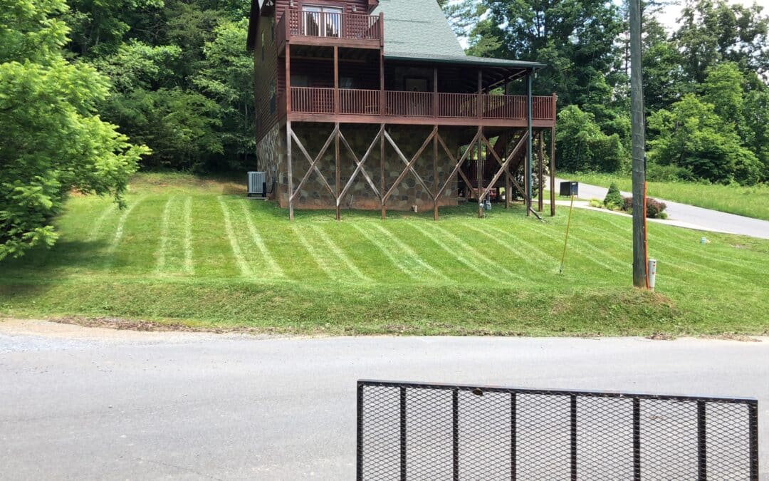 What Are the Best Residential Landscaping Services Near Me in the United States?