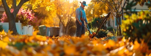 Get Started With Expert Leaf Removal Today