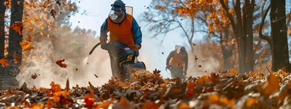 Our Comprehensive Leaf Blowing and Removal Services