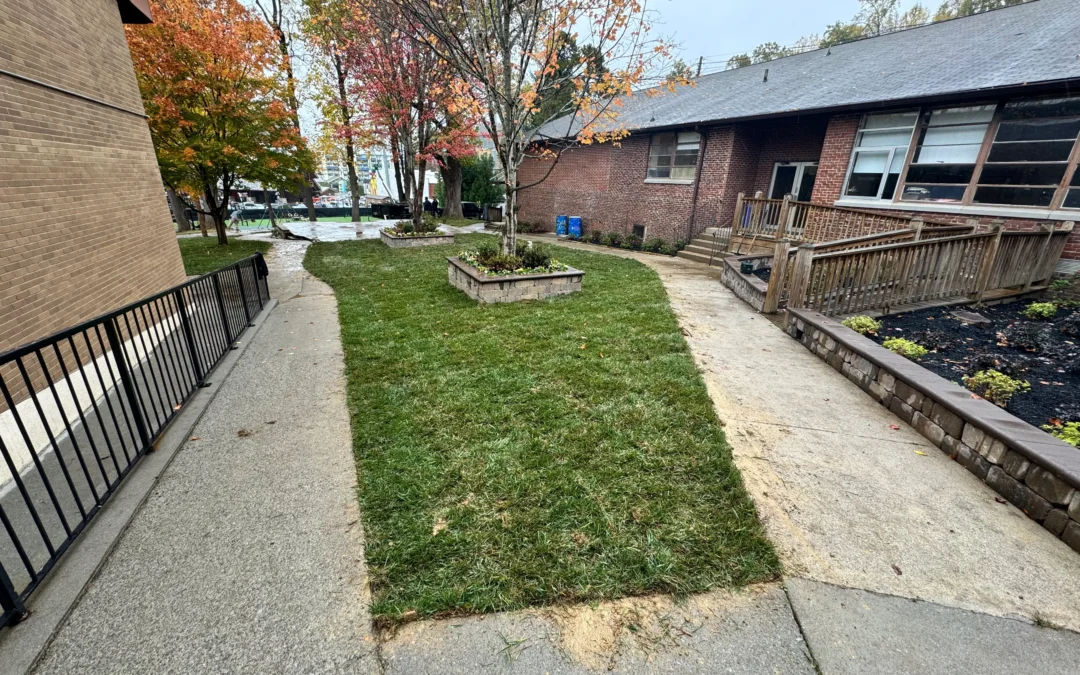 Trending Hardscape Ideas Tennessee 2026 Guide